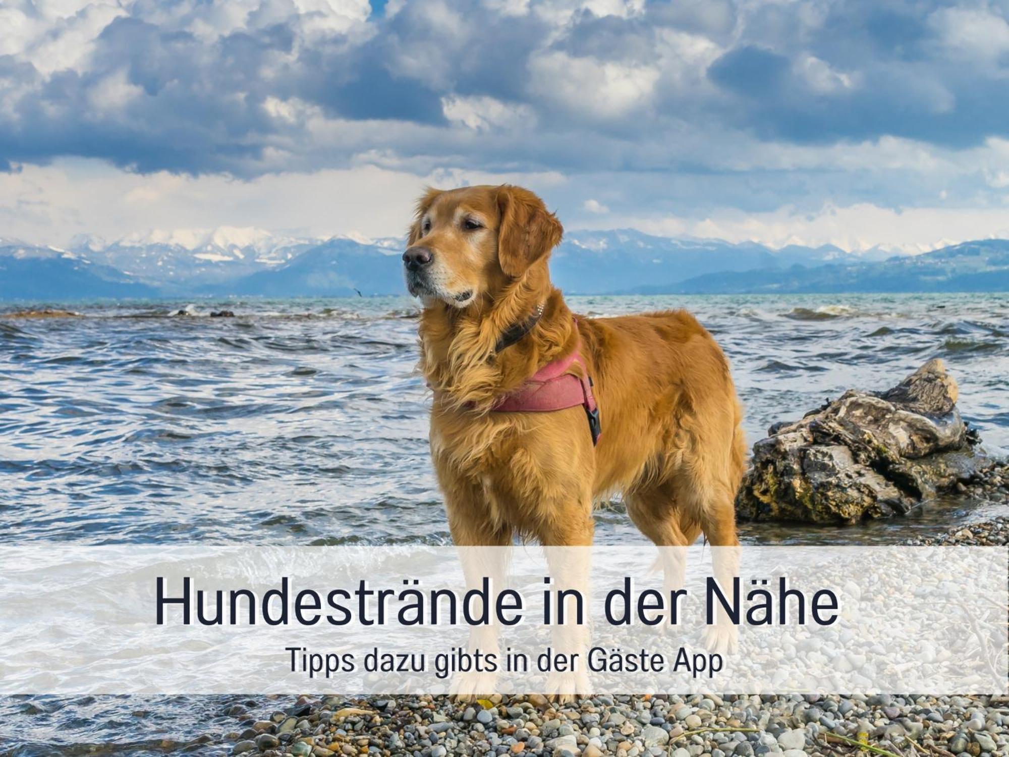 Sonnenterrasse - 3 Schlafzimmer, Whirlpool & Alpenblick - Perfekt Fuer Romantik Oder Familienurlaub Mit Kind , Hund Willkommen By Ferienwohnenamsee - Uberlingen Exterior foto