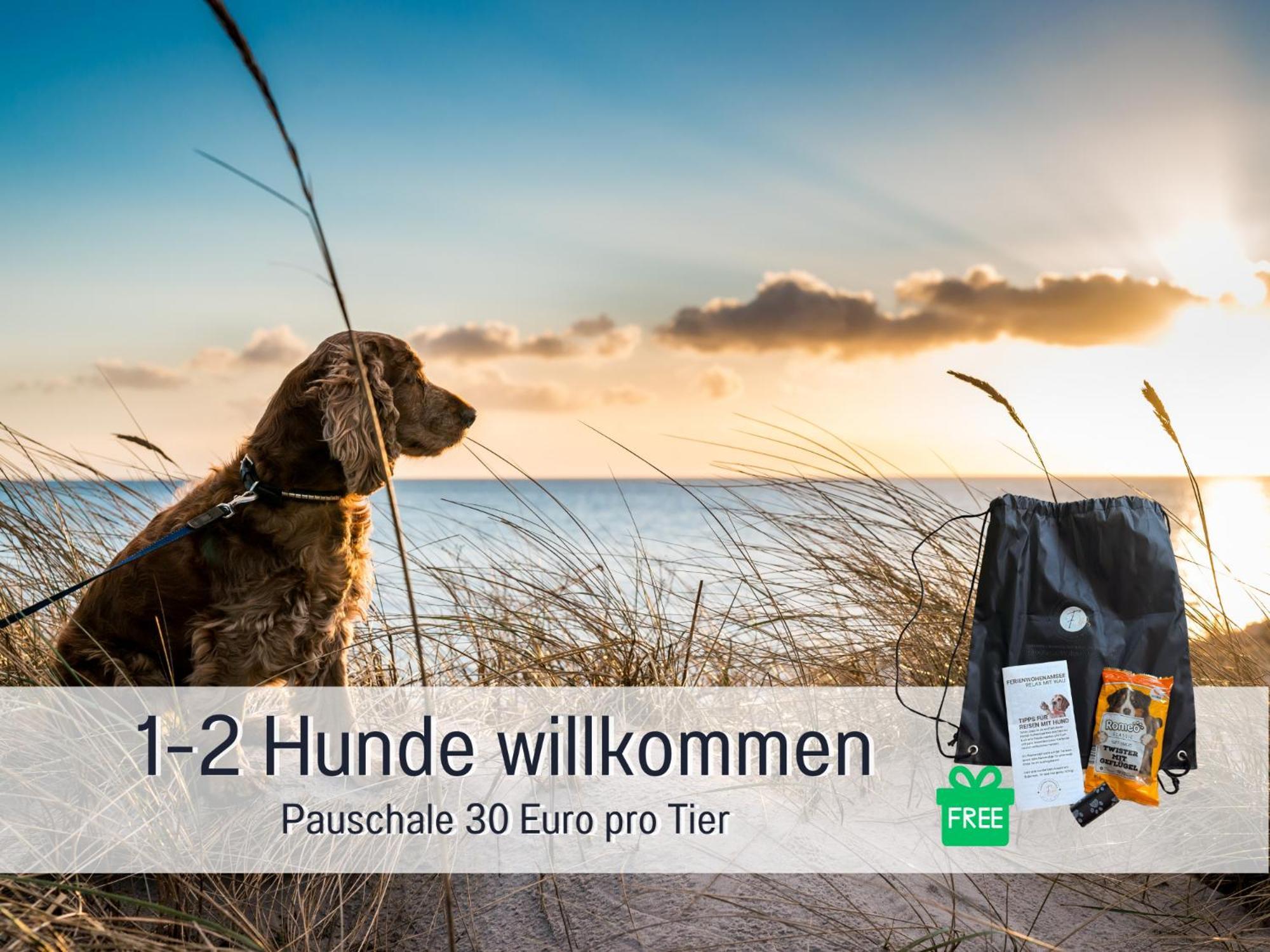 Sonnenterrasse - 3 Schlafzimmer, Whirlpool & Alpenblick - Perfekt Fuer Romantik Oder Familienurlaub Mit Kind , Hund Willkommen By Ferienwohnenamsee - Uberlingen Exterior foto
